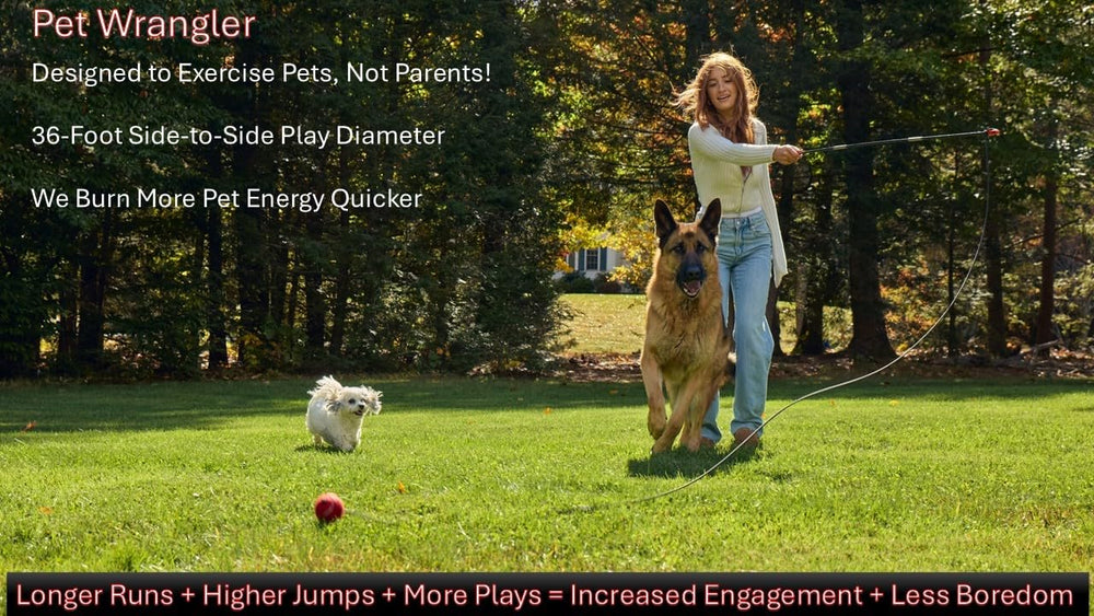Pet Wrangler 2.0 – connecteurs aluminium renforcés garantissant durabilité et solidité.
