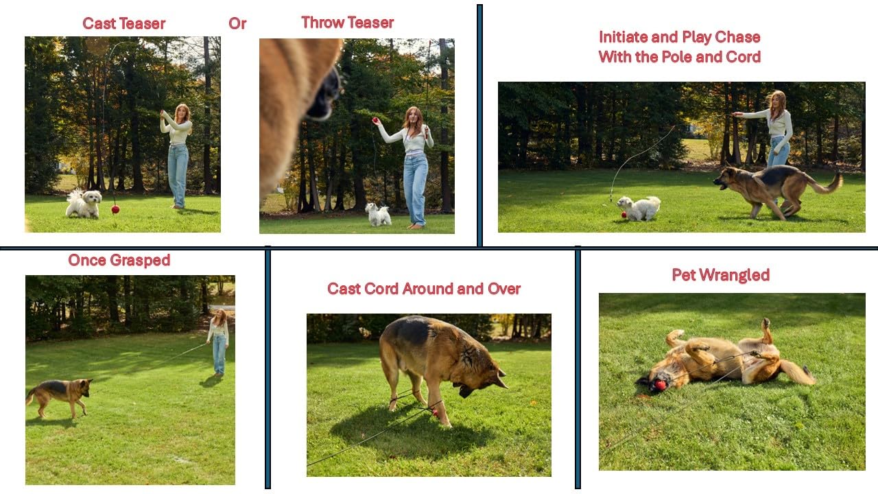 Pet Wrangler 2.0 – design sans connecteurs métalliques protégeant dents et yeux.