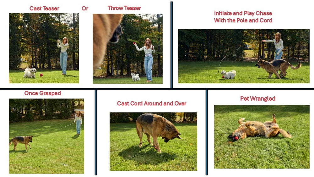 Pet Wrangler 2.0 – design sans connecteurs métalliques protégeant dents et yeux.