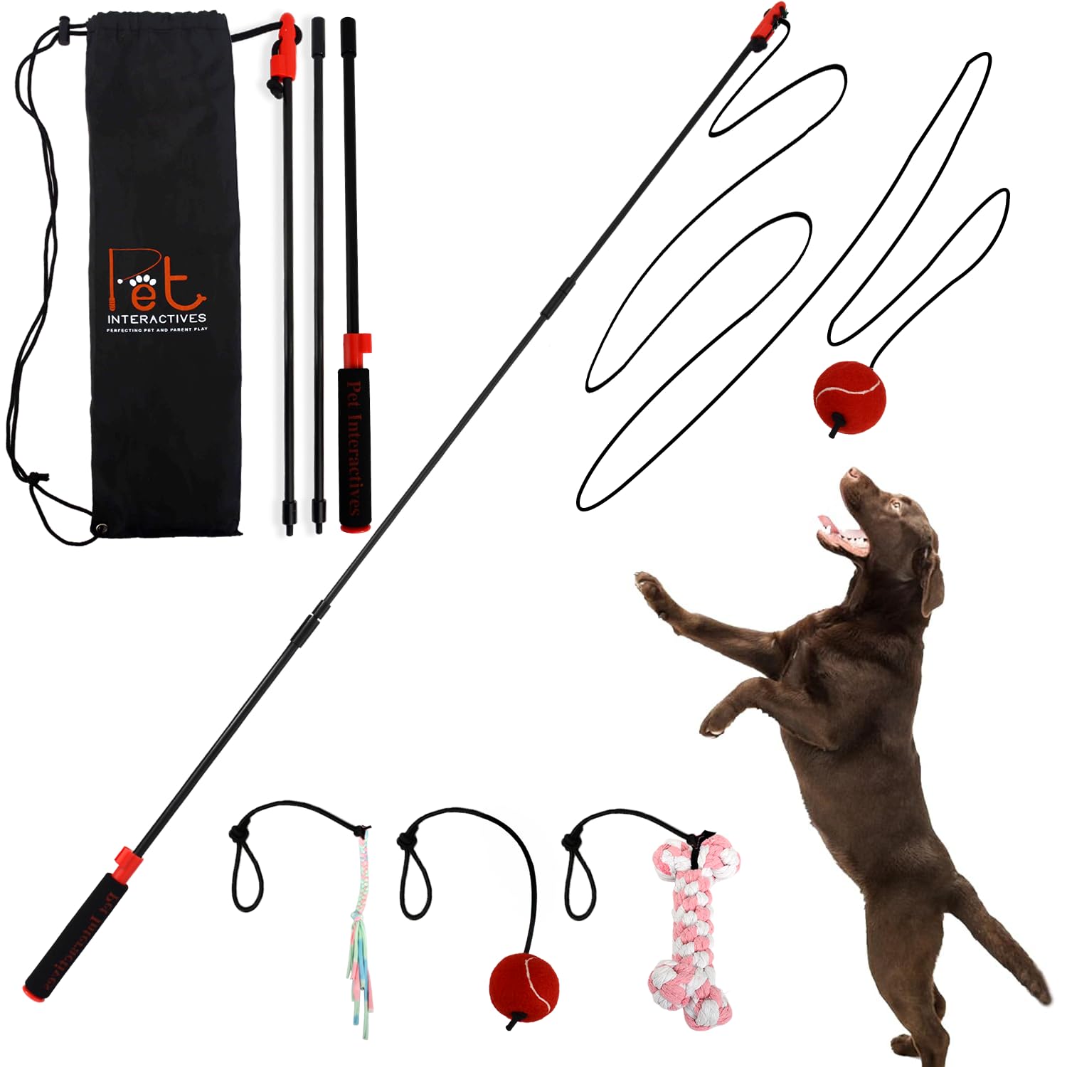Pet Wrangler 2.0 – poteau base renforcé pour une stabilité accrue pendant le jeu.