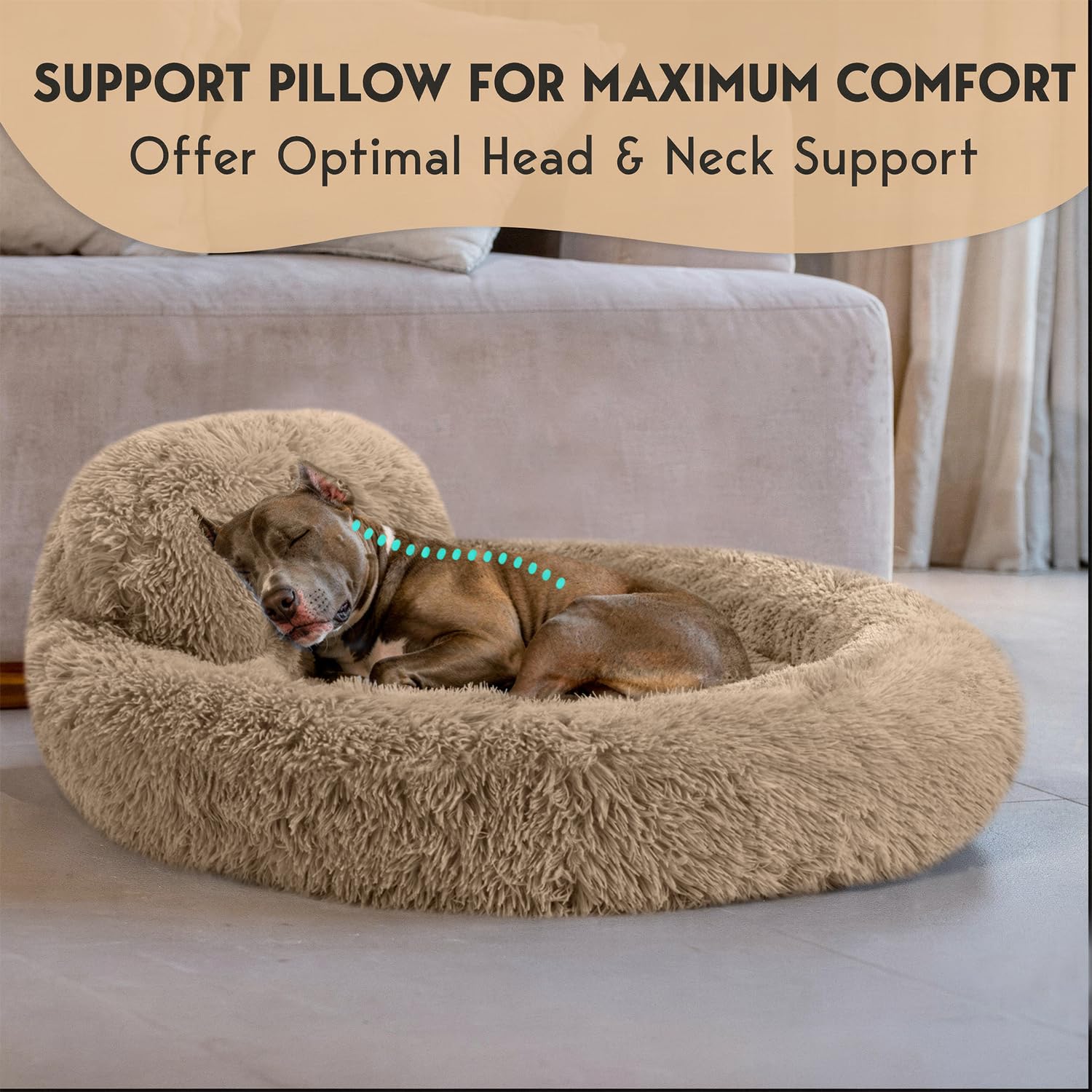 Fond antidérapant PVC PetJett pour stabilité pendant le repos.