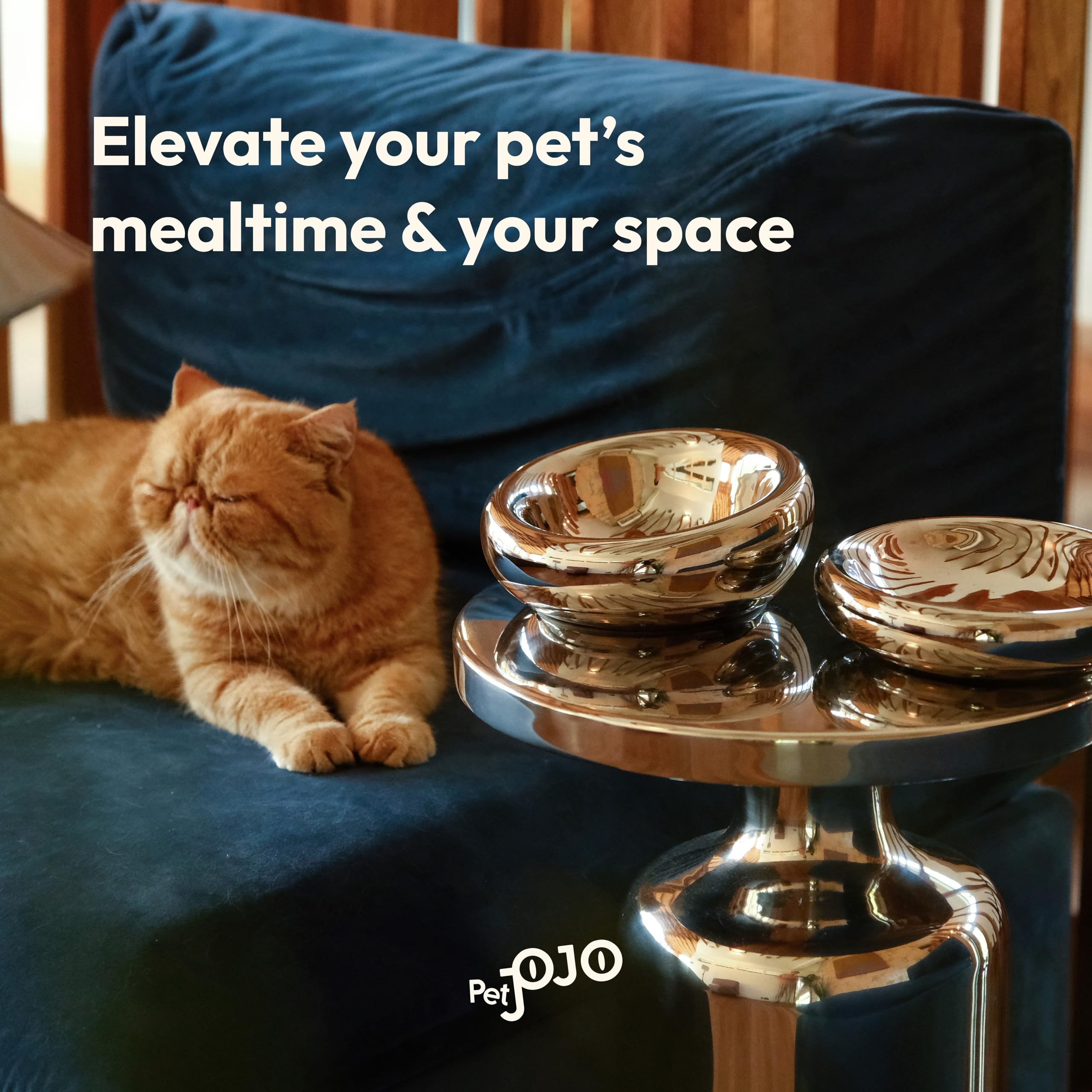 Pet JoJo bol-ceramique-alimentaire, sûr et durable pour animaux.