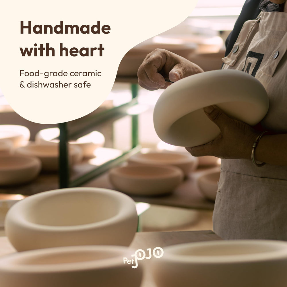 Pet JoJo bol-design-minimaliste, ajout élégant à la cuisine.