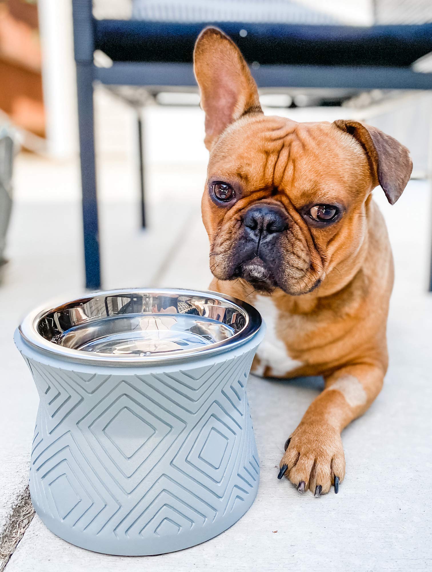 Pet Junkie Santa Fe: base solide et anti-glissement pour stabilité.
