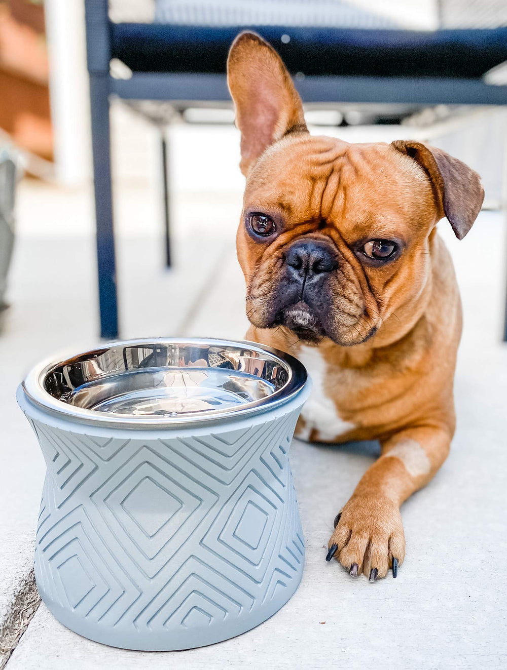 Pet Junkie Santa Fe: base solide et anti-glissement pour stabilité.