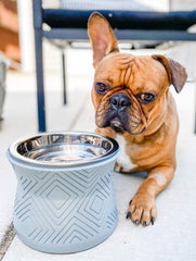 Pet Junkie Santa Fe: base solide et anti-glissement pour stabilité.