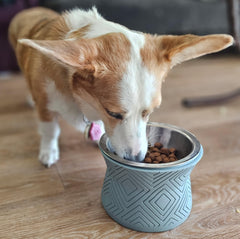 Pet Junkie Santa Fe: design moderne avec motif geometrique pour la deco.