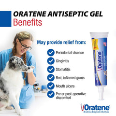 Application du gel Oratene sur les gencives du chien ou chat.