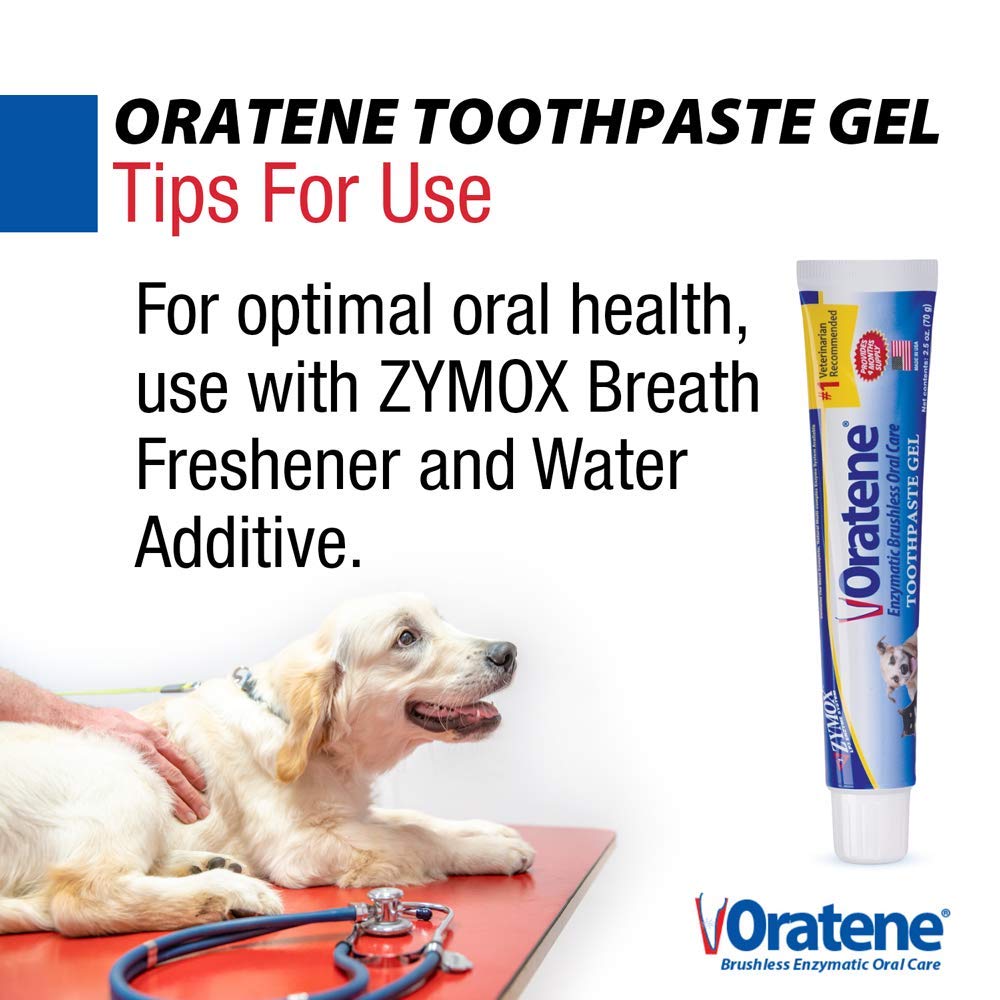 ZYMOX Oratene Gel non toxique, sécurité pour chiens et chats.