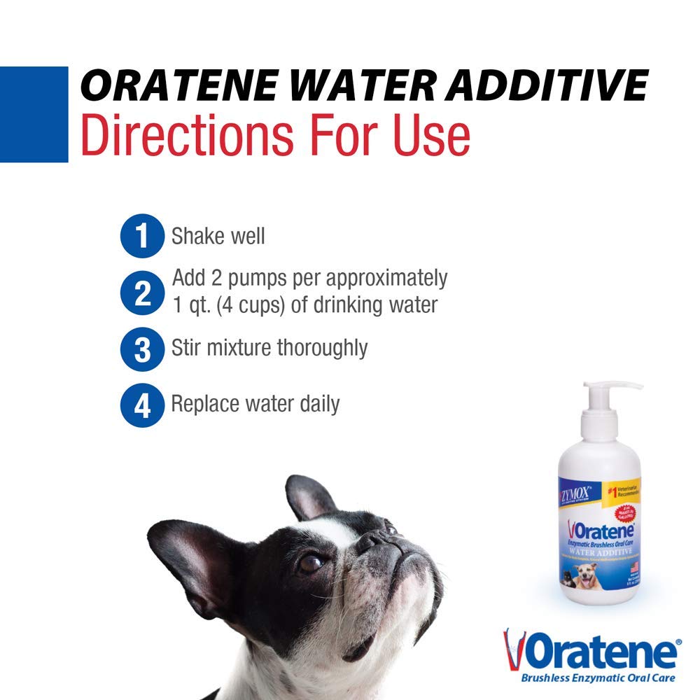 Pet King Brands ZYMOX Oratene – additif sûr et doux pour ingestion quotidienne.
