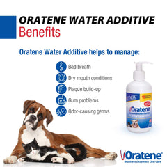 ZYMOX Oratene Pet King Brands – ajout dans l'eau, sans arôme, usage quotidien.