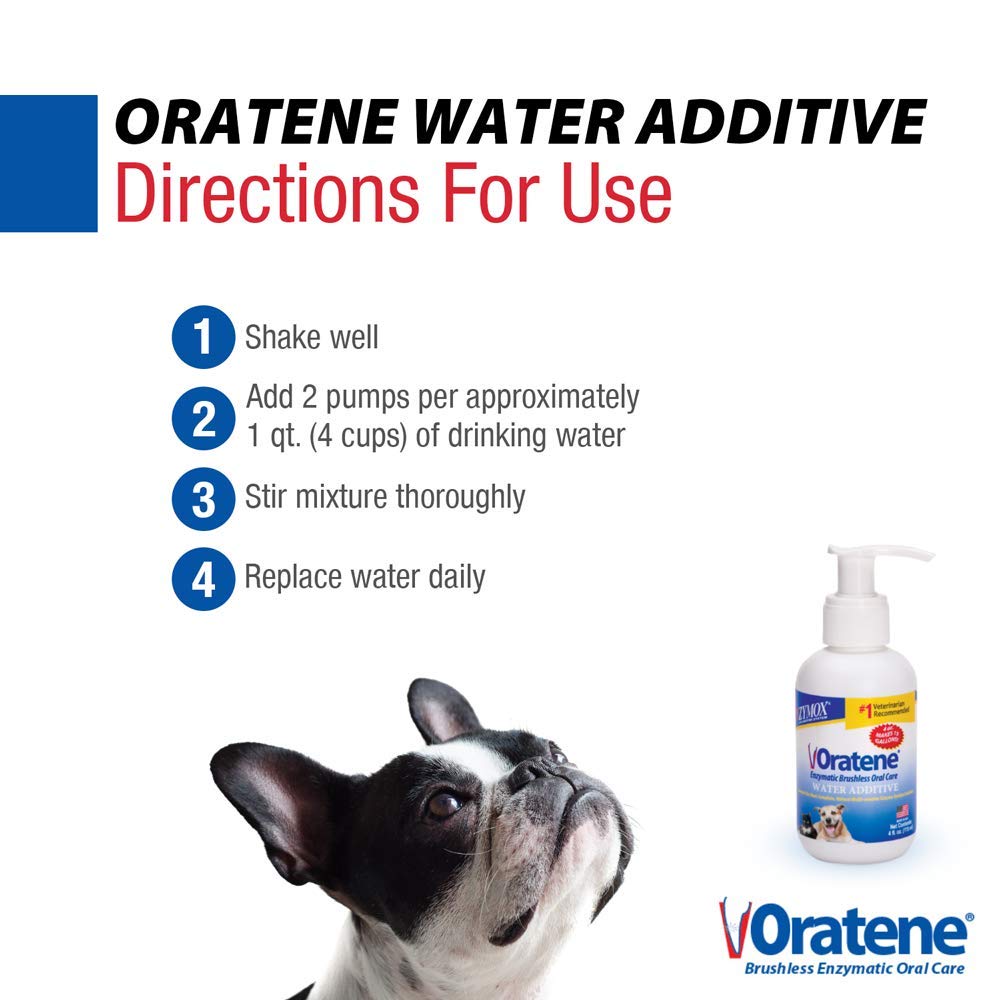 Zymox Oratene Pet King Brands – sans alcool, solution buccale douce.
