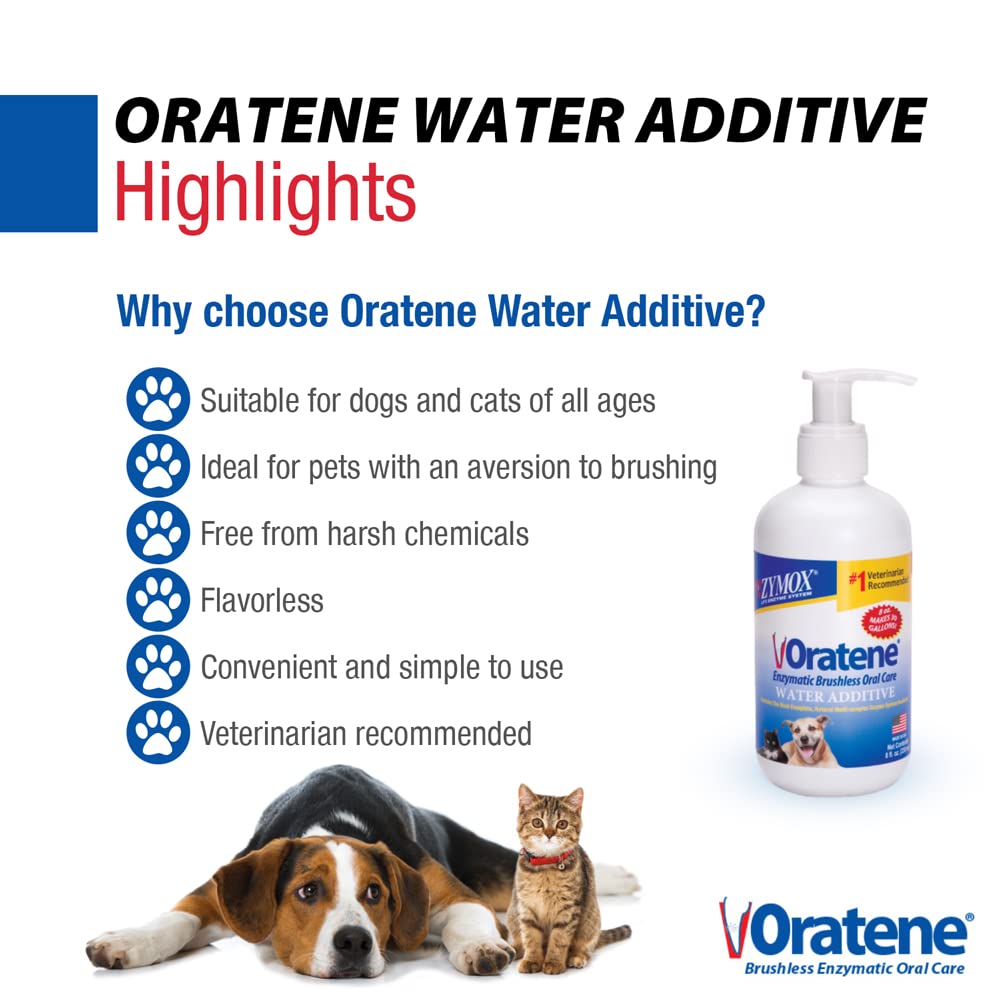ZYMOX Oratene – solution incolore sans arôme pour eau quotidienne.
