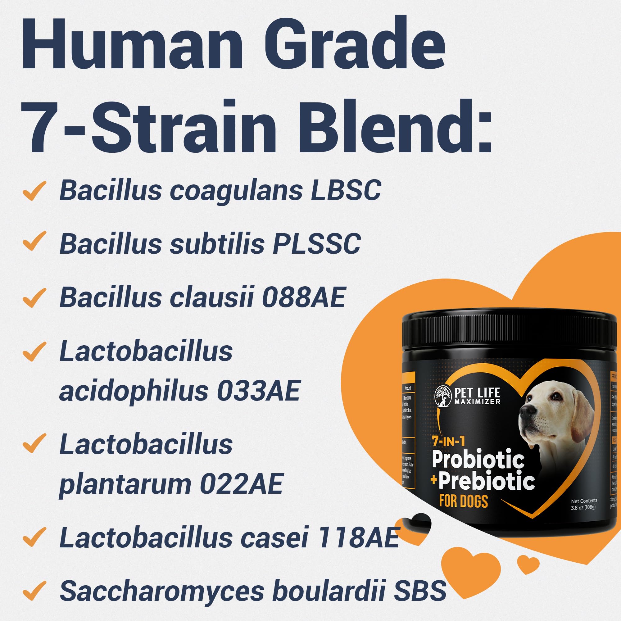 Pet Life Maximizer facile à mélanger dans les repas.