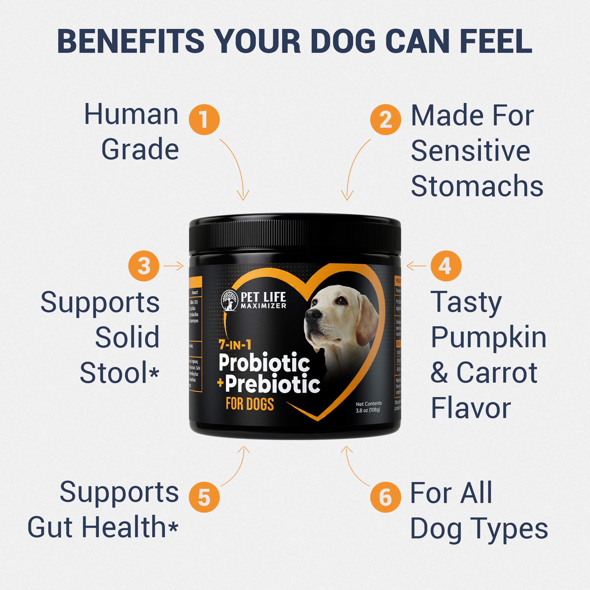 Pet Life Maximizer poudre fine à saupoudrer sur les repas du chien.