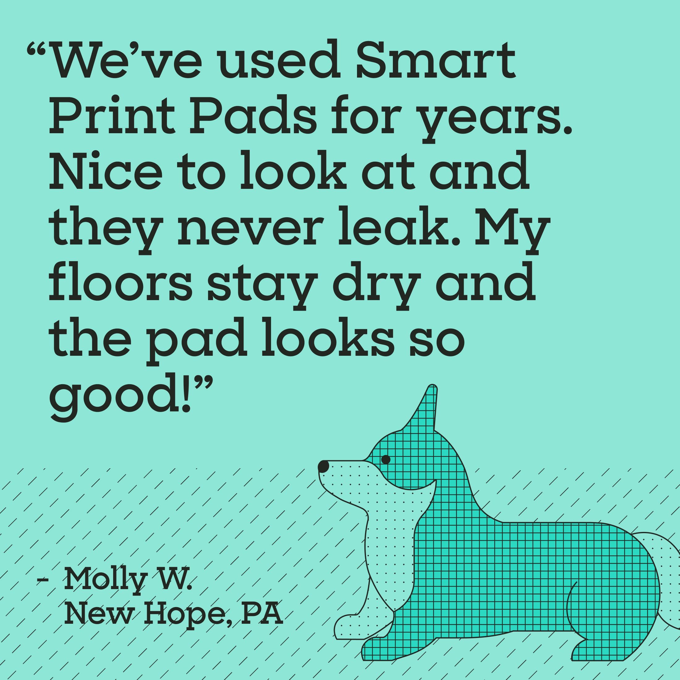 Tapis Pet Life Unlimited Smart Prints XL esthétique adaptée à intérieur moderne.