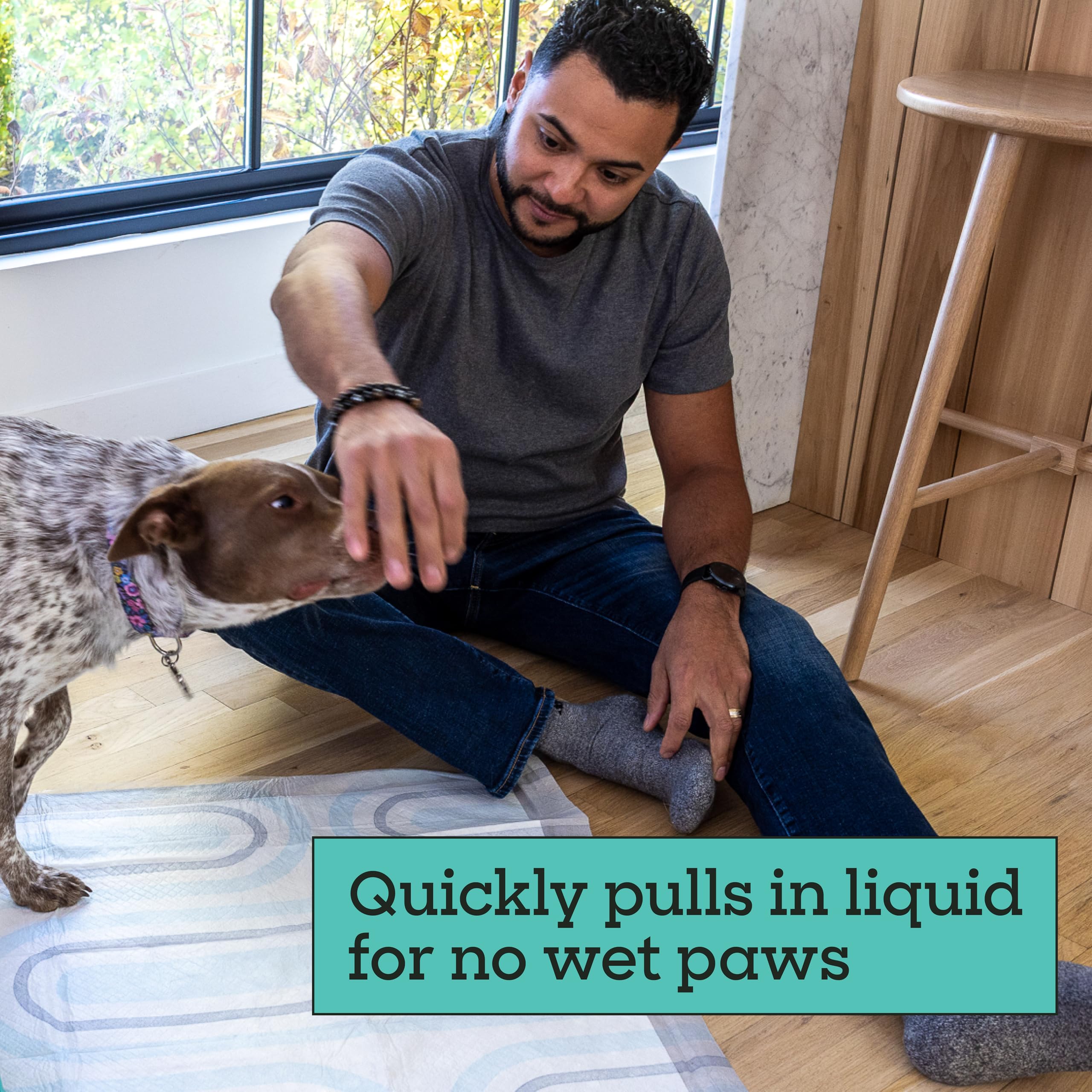 Ensemble Pet Life Unlimited Smart Prints XL: deux tapis pour grands chiens.