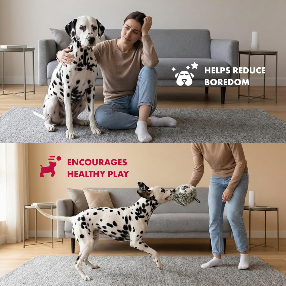 Pet Lou balle flottante: récupération simple lors des jeux d'eau.