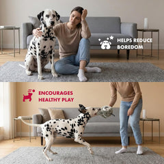 Pet Lou balle flottante: récupération simple lors des jeux d'eau.