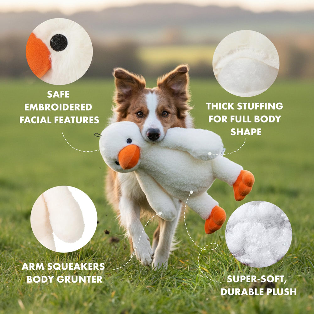 Détails brodés Pet Lou sur le visage, sécurité sans pièces détachables.