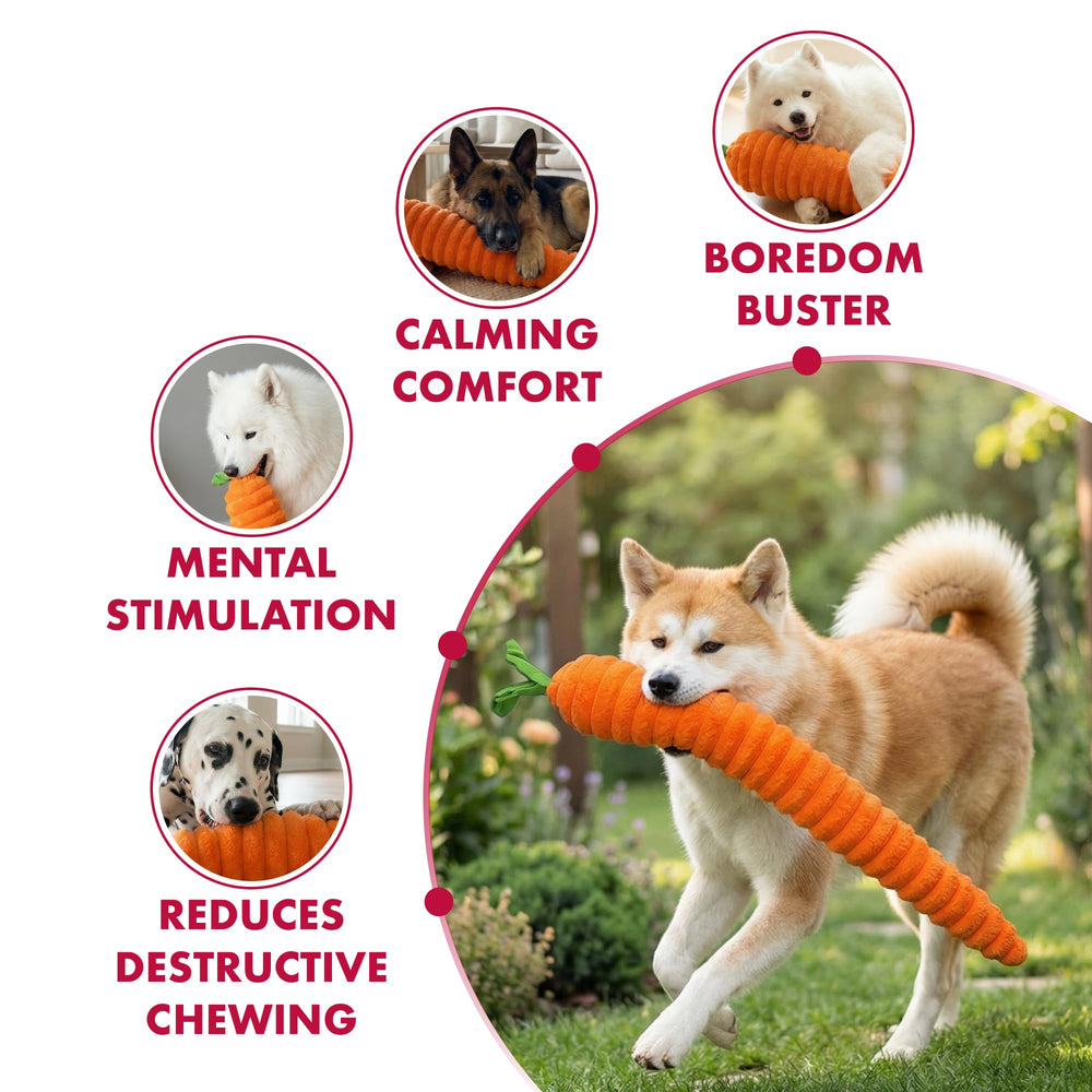 Jouet carotte luxe Pet Lou, rembourrage épais pour des jeux plus robustes