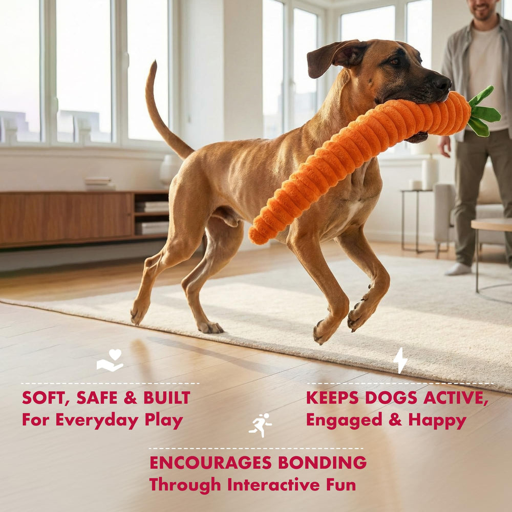 Jouet carotte luxe Pet Lou, siffleurs multiples pour des surprises sonores pendant le jeu