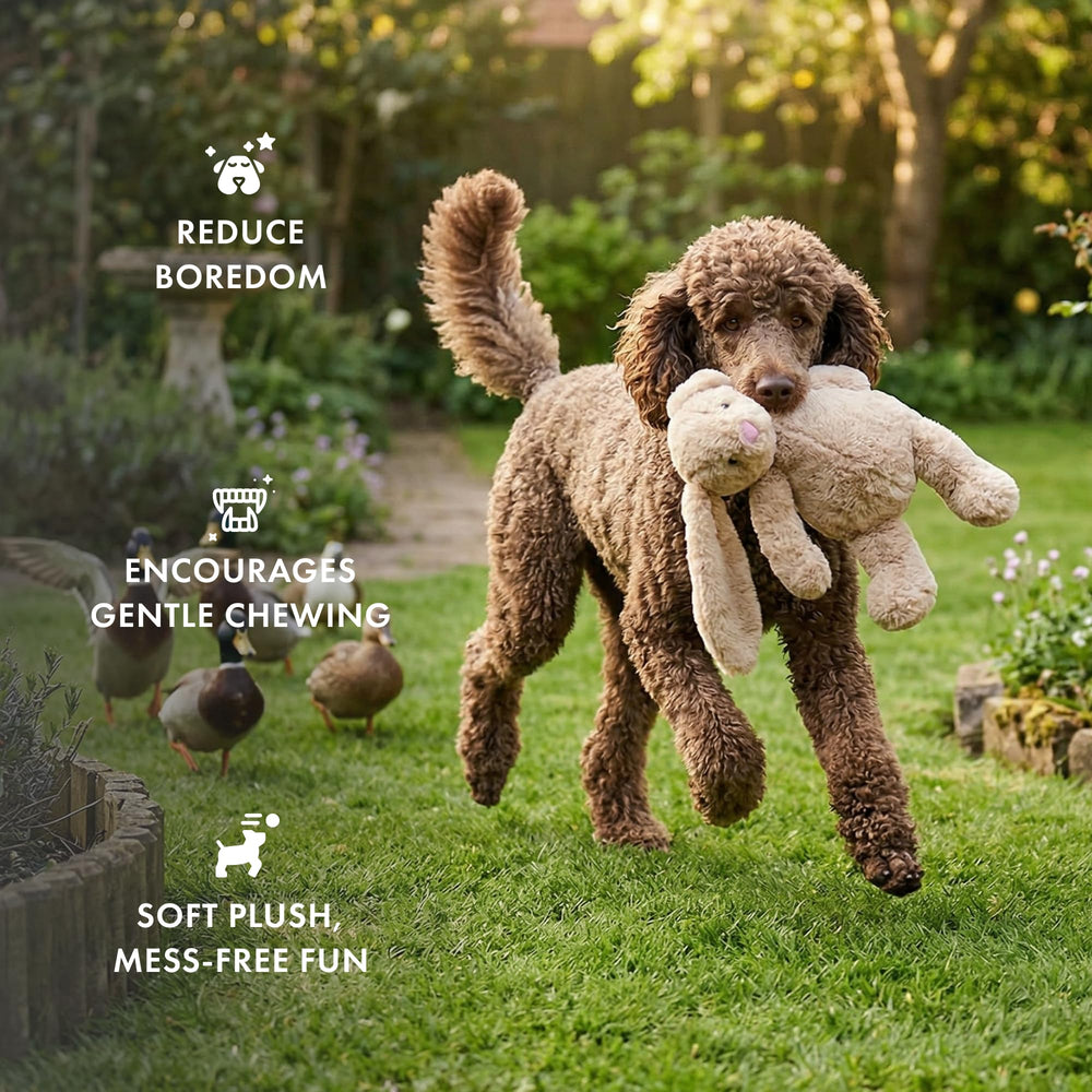 Jouet lapin Pet Lou avec petits chiots en jeu.