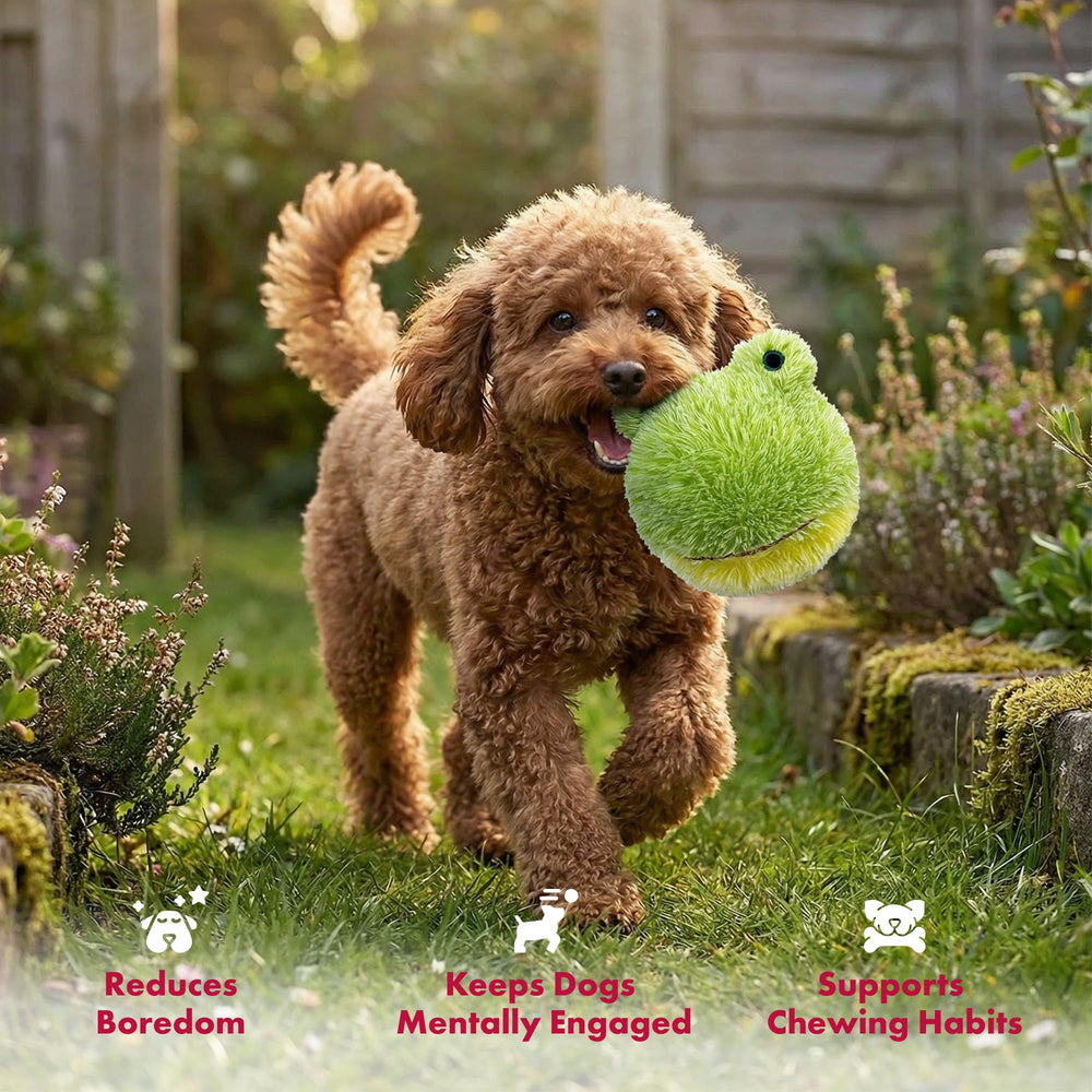 Pet Lou Peluche douce idéale pour chiots et petits chiens.