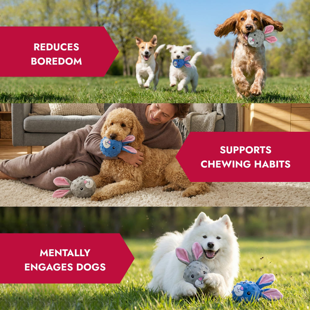Pet Lou prise en main – jouet interactif facile à saisir