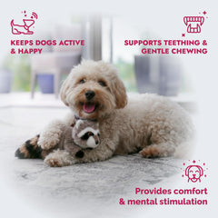 Pet Lou Raton-Laveur couineur intérieur pour stimulation et jeu interactif