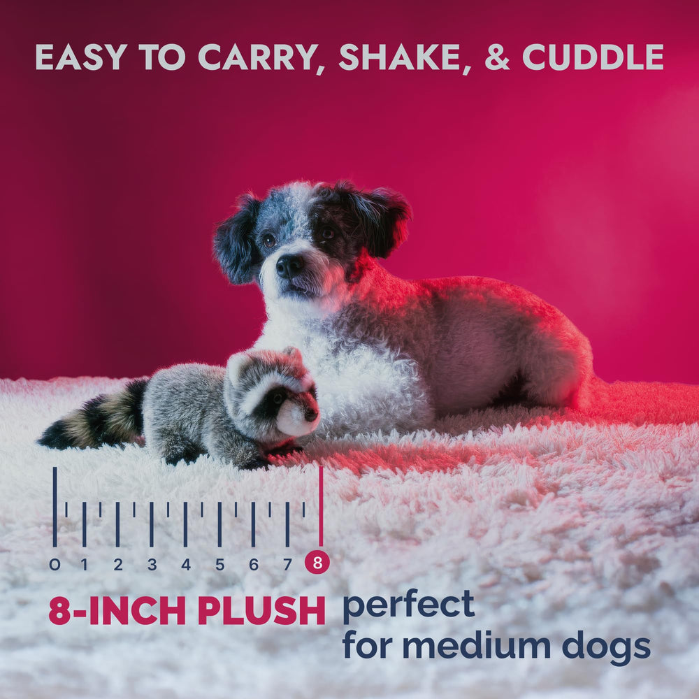 Pet Lou Raton-Laveur peluche douce pour câlins et mordillement