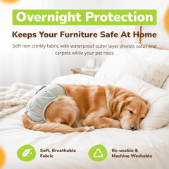 Pet Magasin: lavage facile des couches réutilisables pour chiens femelles
