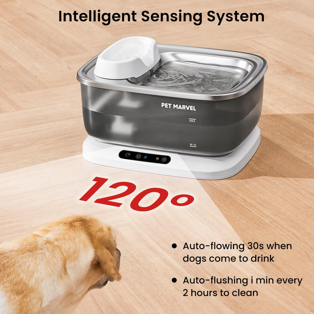 PET MARVEL bol en inox 304, sécurité et propreté