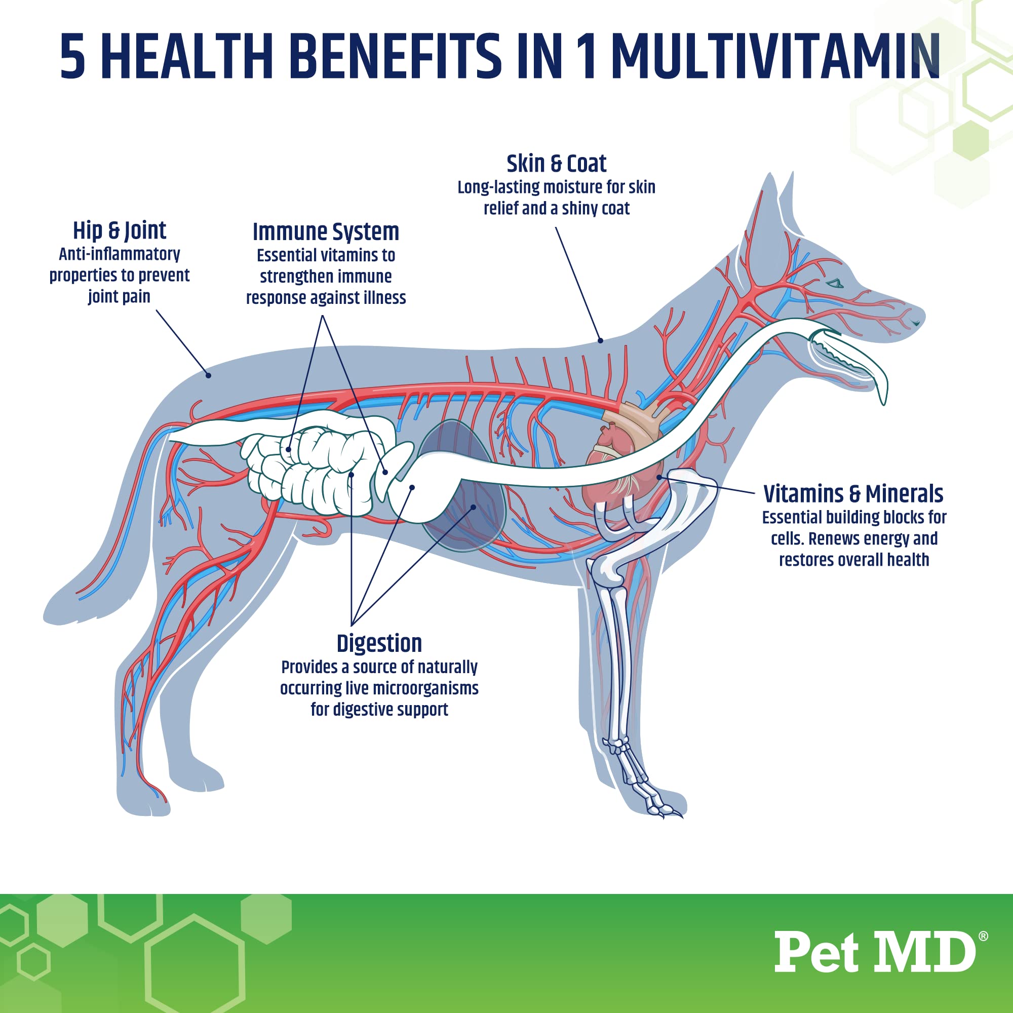 Pet MD 5en1: friandise molle pour chien, aide à la vitalité quotidienne.