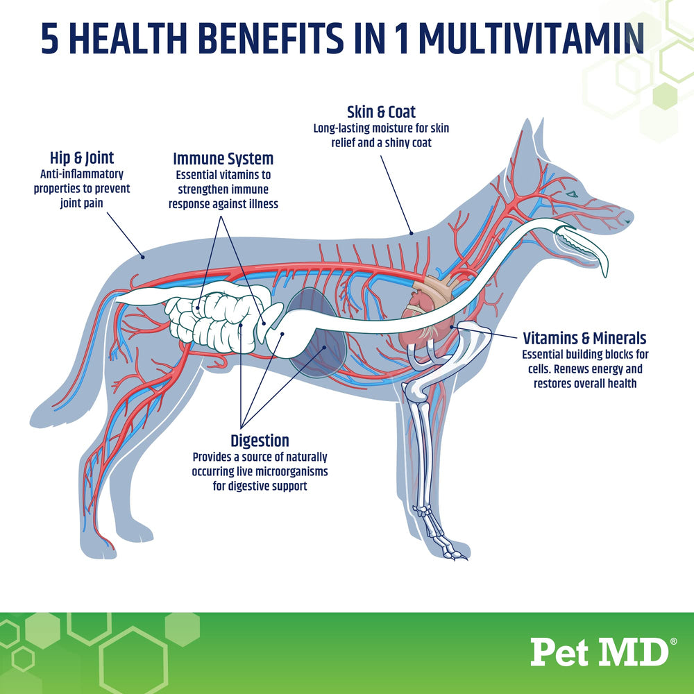 Pet MD 5en1: friandise molle pour chien, aide à la vitalité quotidienne.