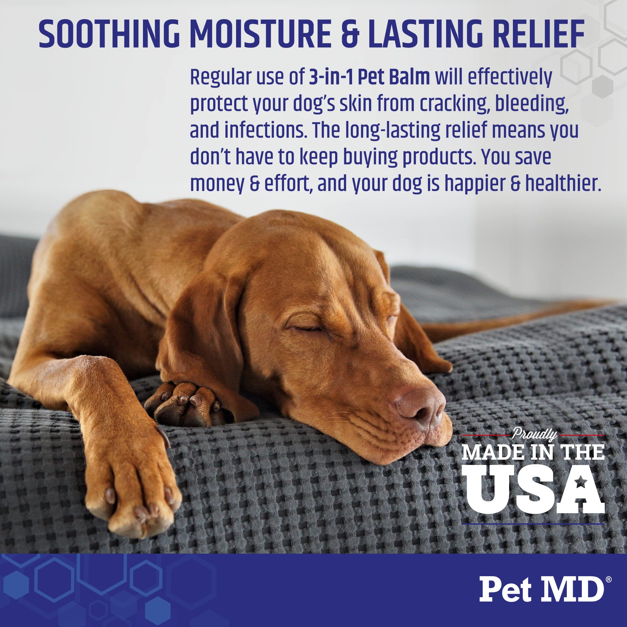 Baume Pet MD application facile – massage rapide pour chiens actifs.