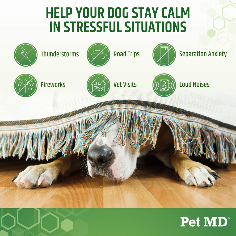 Pet MD friables calmants – Chiens en main, administration facile.