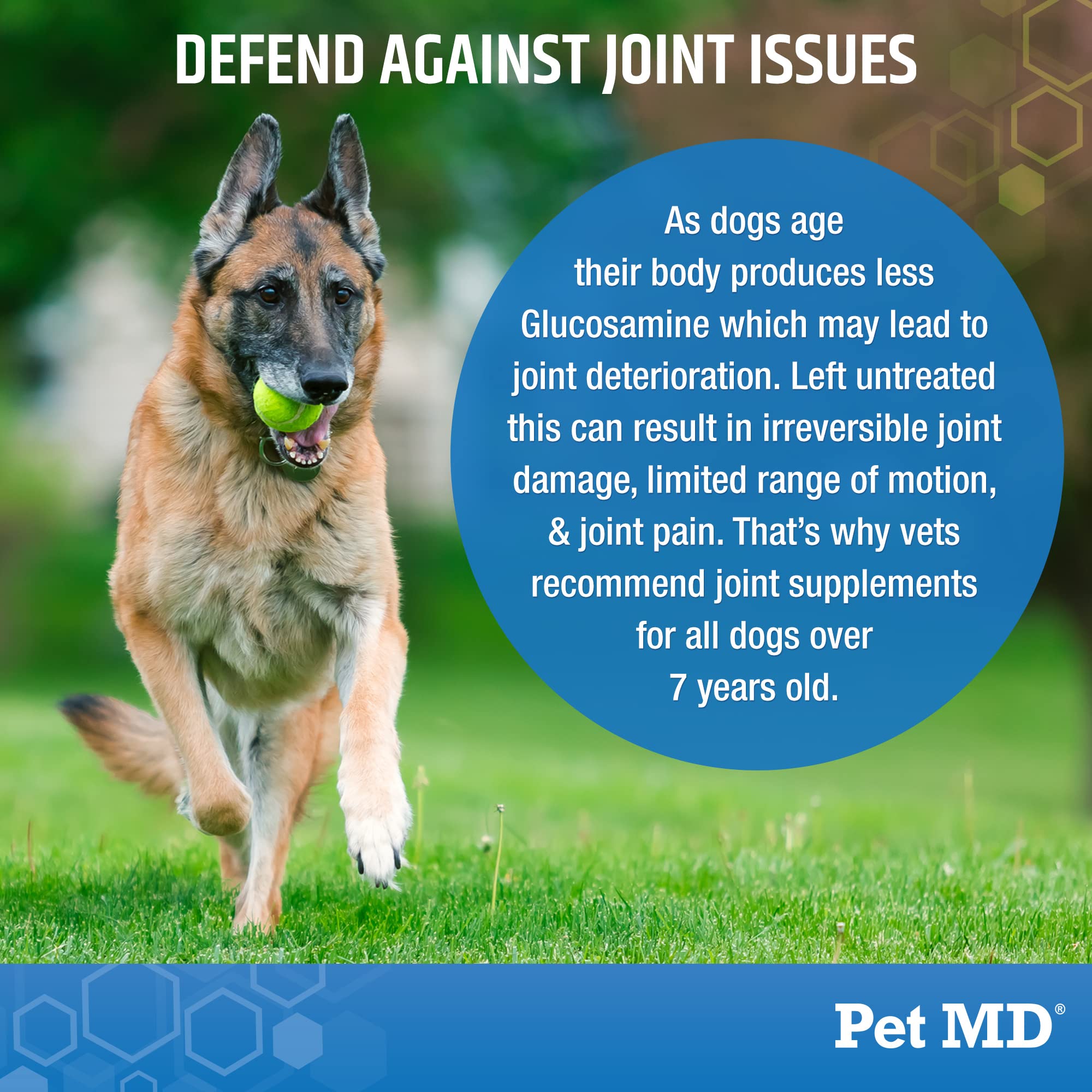 Pet MD Glucosamine pour chiens: formule renforcée avec chondroïtine et MSM pour le confort articulaire.