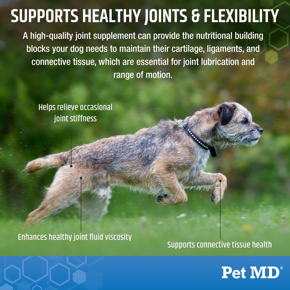 Pet MD Glucosamine pour chiens: curcuma, yucca et vitamines C et E pour le soutien global.