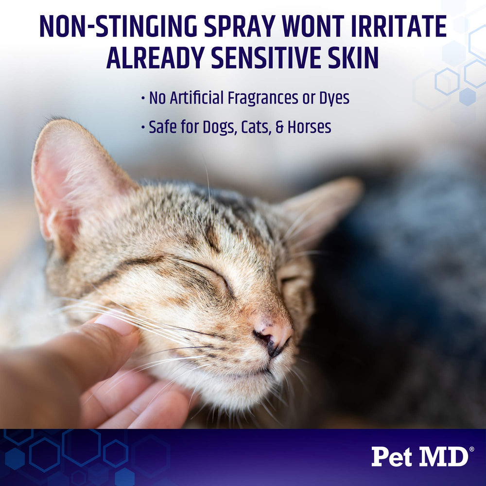 Pet MD Hydrocortisone Spray – zone irritée chez chiens et chats apaisée.