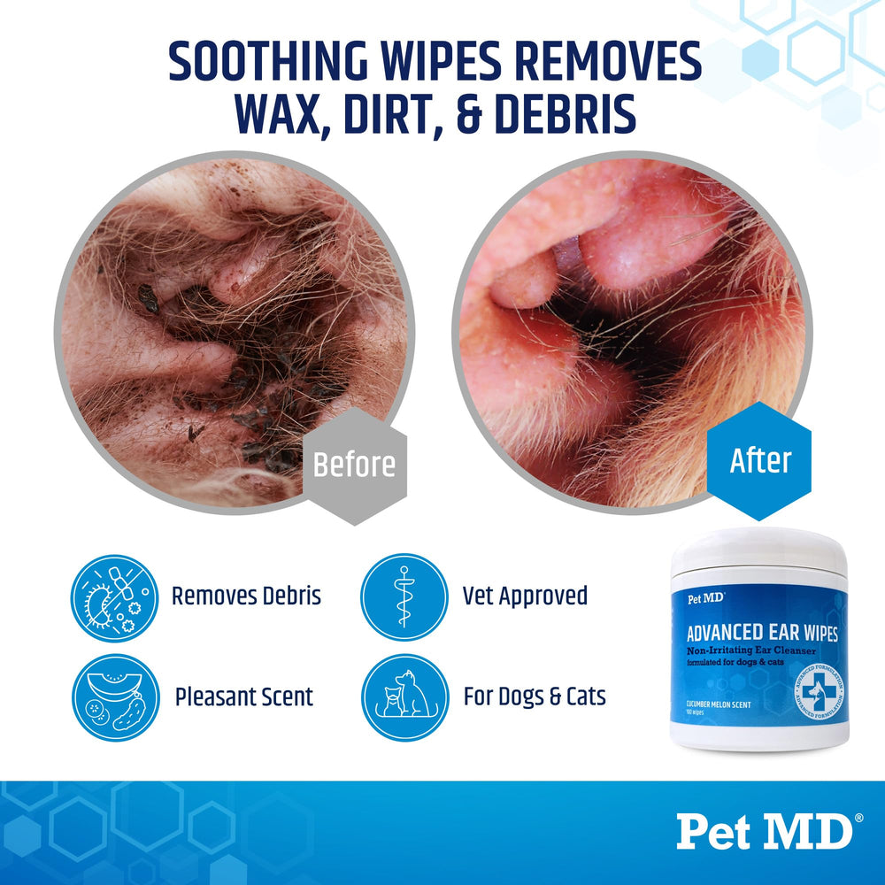 Pet MD lingettes oreilles: nettoyage rapide et sans combat lors du soin.