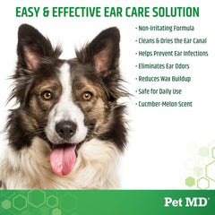 Application des gouttes Pet MD Otic Clean sur les oreilles.