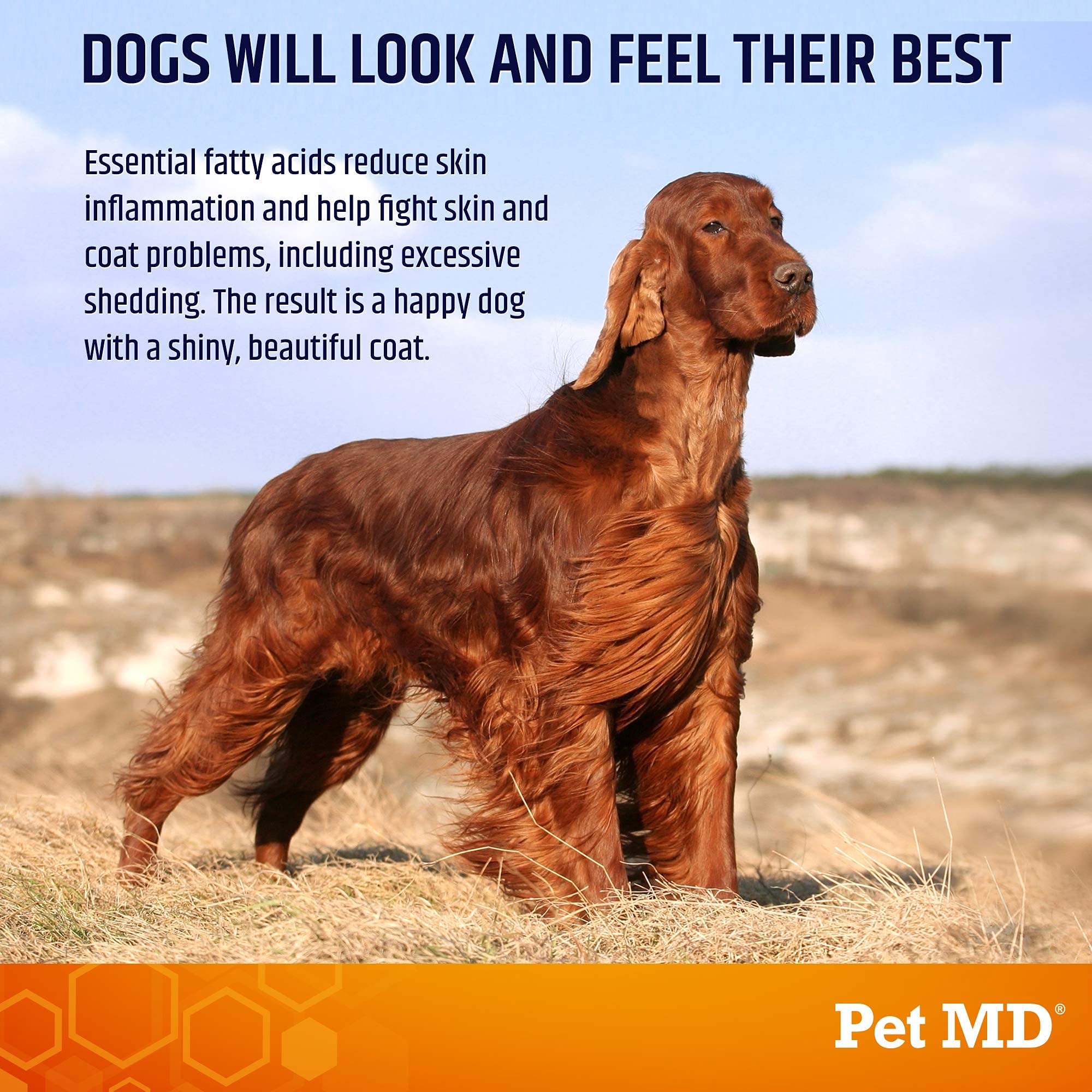 Pet MD Salmon Omega Bites friandises: texture attrayante pour soutenir peau et pelage.