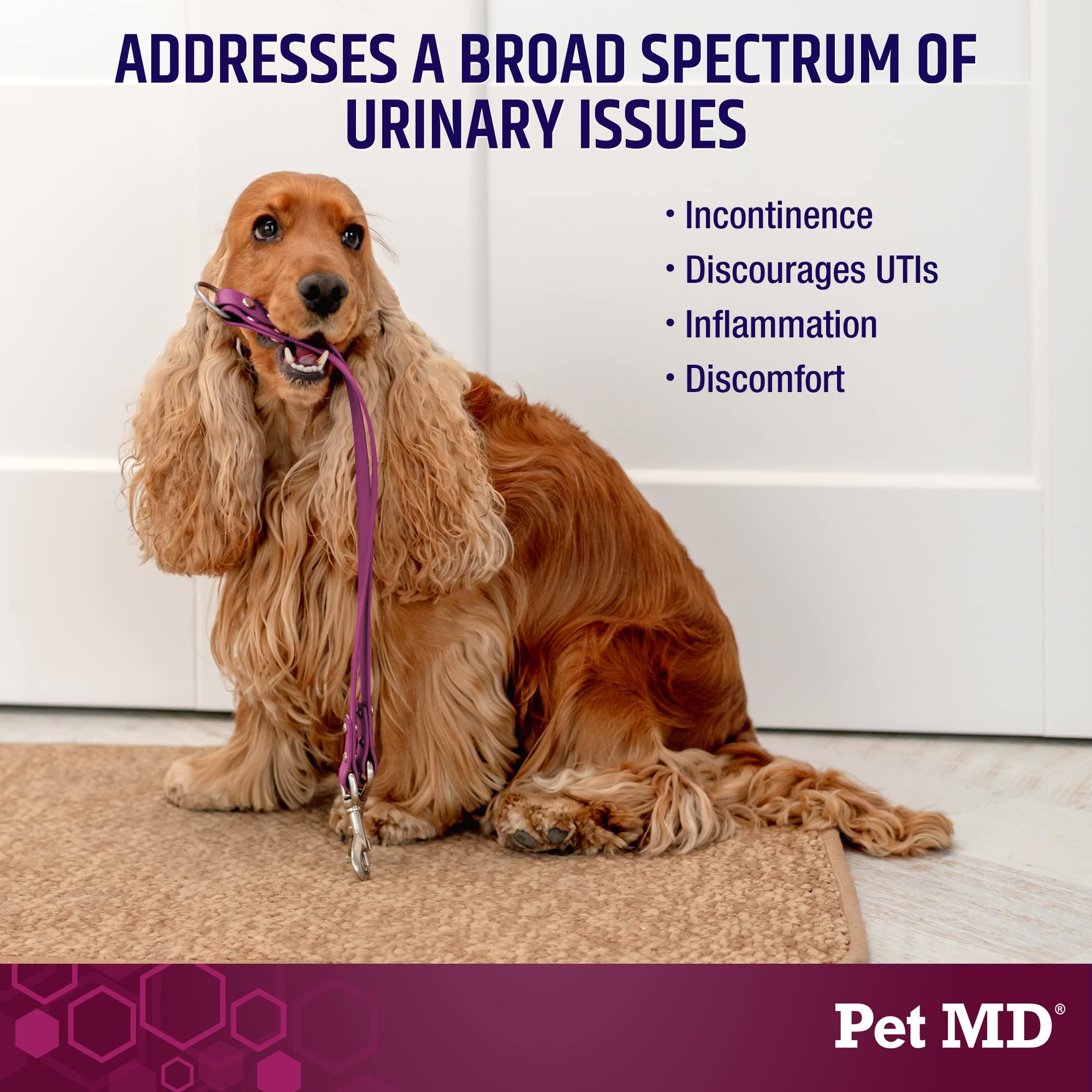 Pet MD Soutien Urinaire Plus Canneberge – boîte 60 comprimés, utilisation pratique.