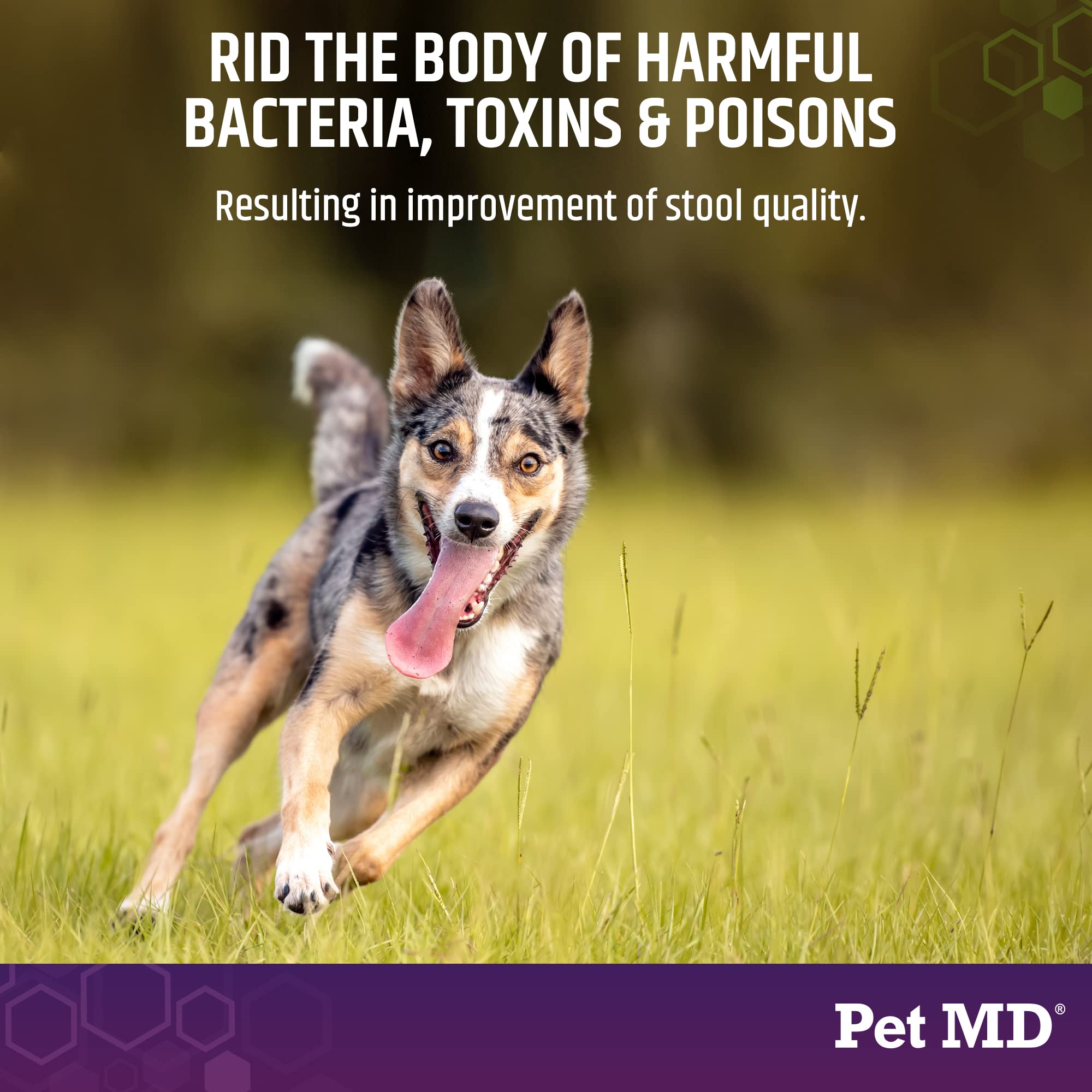 Pet MD Stool-Fix — soulagement potentiel des inconforts digestifs sans ordonnance