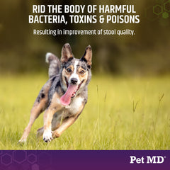 Pet MD Stool-Fix — soulagement potentiel des inconforts digestifs sans ordonnance