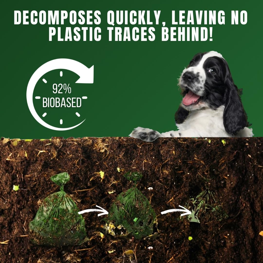 Emballage Pet N Pet respectueux de l’environnement, choix durable.