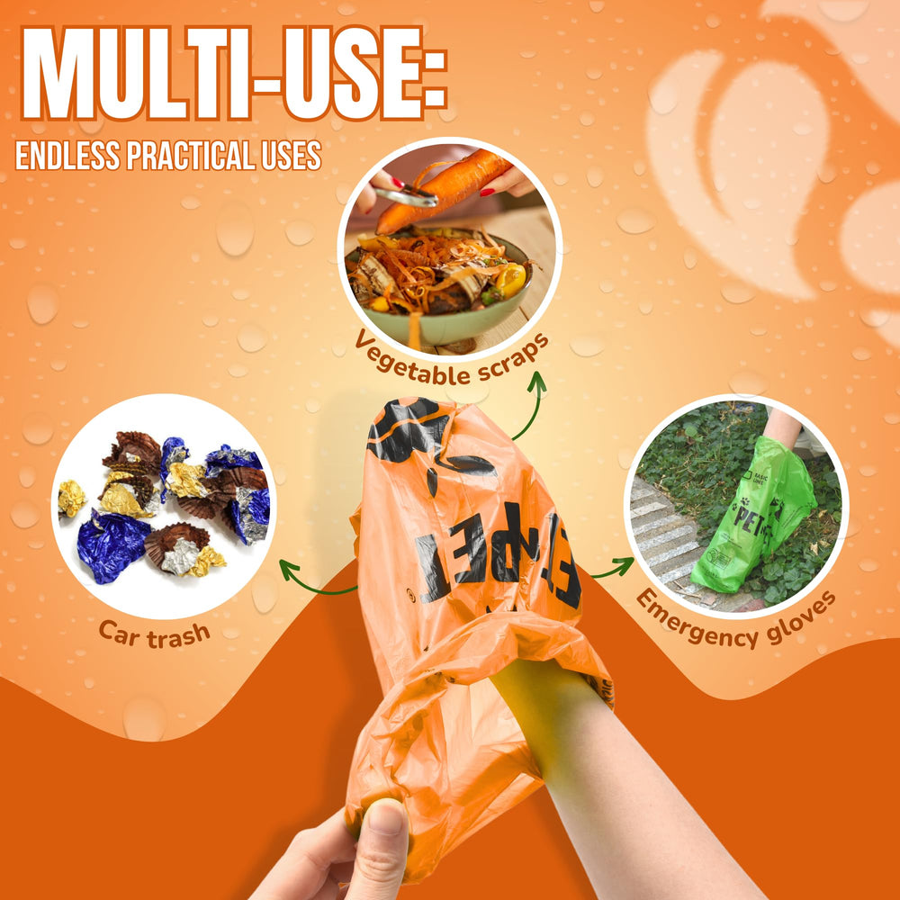 PET N PET sacs-caca compatibles distributeurs, usage simplifié lors des sorties.