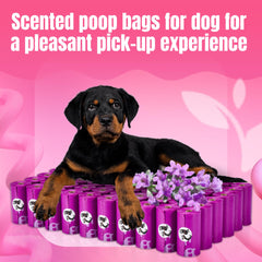 Sacs perforés PET N PET faciles à attraper et à utiliser