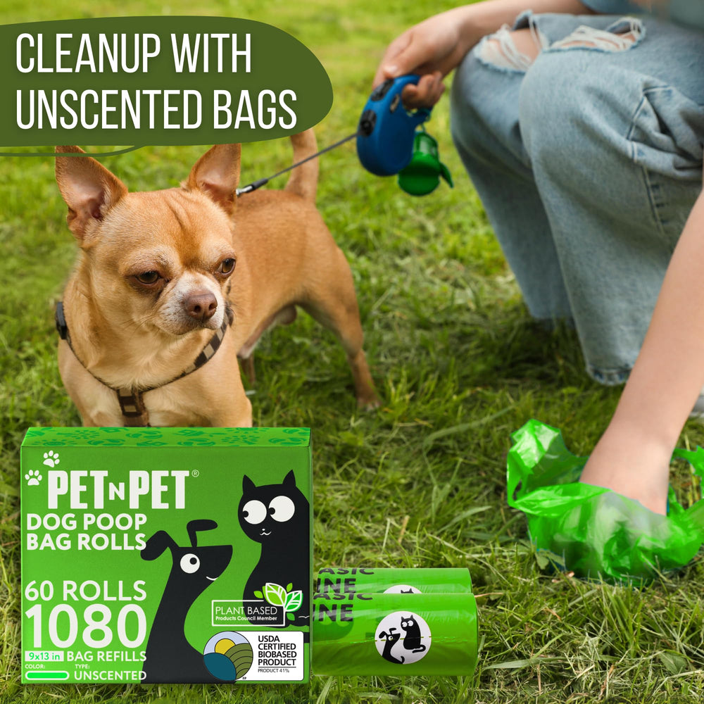 Utilisation quotidienne des sacs Pet N Pet lors des balades avec chien
